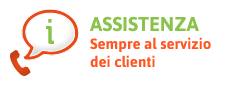 Assistenza